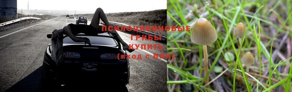 трава Наволоки