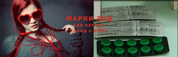 трава Наволоки
