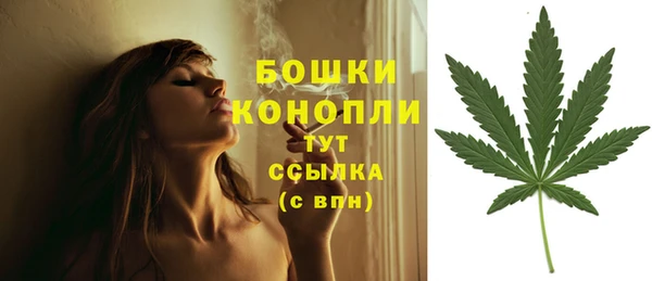 прущие грибы Михайловск