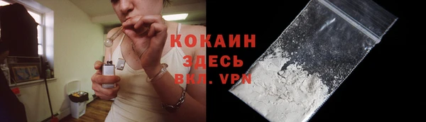 трава Наволоки