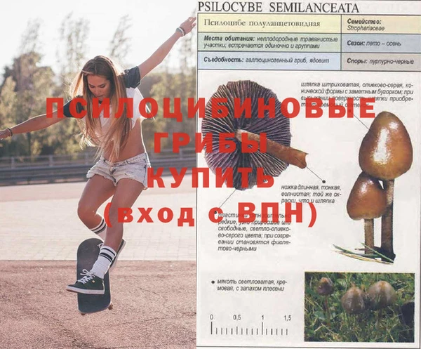 мяу мяу мука Бородино