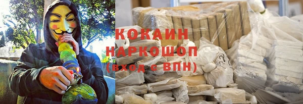 трава Наволоки