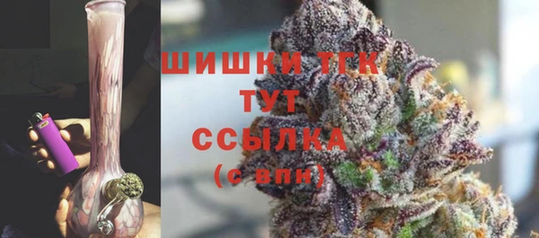 трава Наволоки