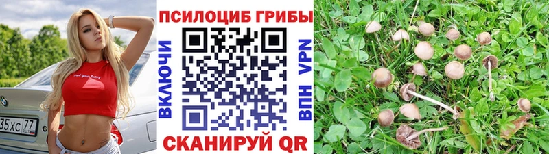 Псилоцибиновые грибы мухоморы  мориарти состав  Приморско-Ахтарск  OMG ссылки 