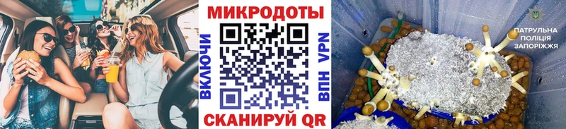 Псилоцибиновые грибы мухоморы Приморско-Ахтарск