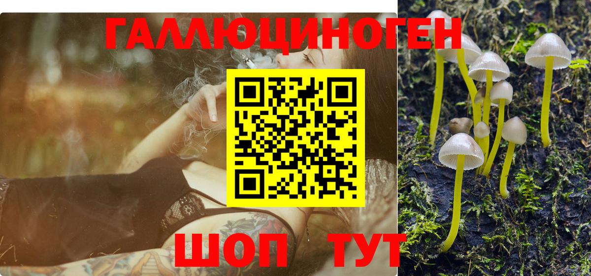 Псилоцибиновые грибы прущие грибы Приморско-Ахтарск