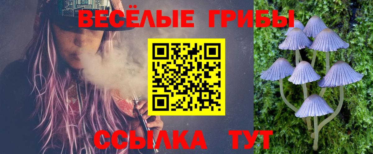 Галлюциногенные грибы Psilocybine cubensis  Вход с VPN  Приморско-Ахтарск 